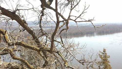 Bare tree by lake against sky