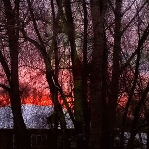 Silhouette of trees on landscape against sky