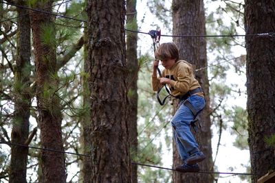 Full length of boy climbing on tree trunk in forest