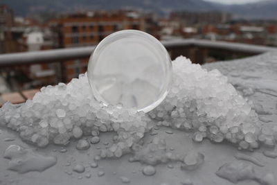 Close-up view of leaf