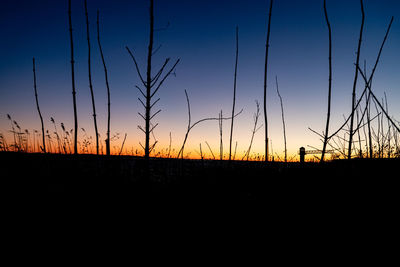 Scenic view of sunset