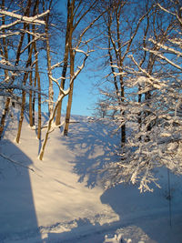 Snow covered landscape