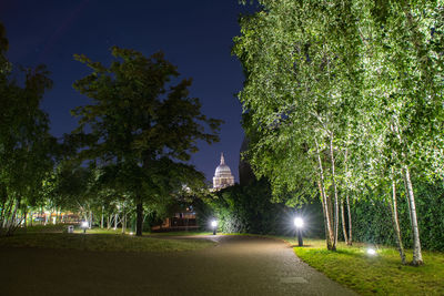 Trees by illuminated building against sky at night