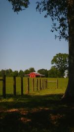 Trees in park against clear sky