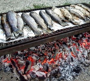 Close-up of fish on barbecue grill