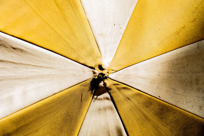 Full frame shot of yellow umbrella