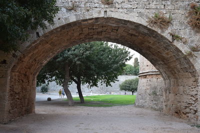 Trees seen through arch