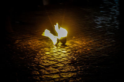 Close-up of silhouette flower in water