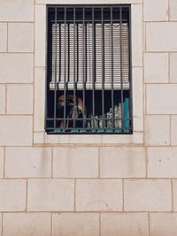 Window on wall of building