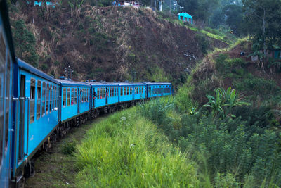 Train on bridge amidst trees