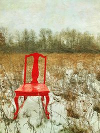 Red and trees on field during winter