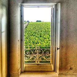 Closed window of building