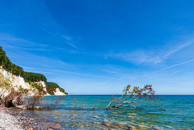 Scenic view of sea against blue sky