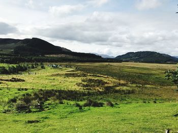 Scenic view of green landscape against sky