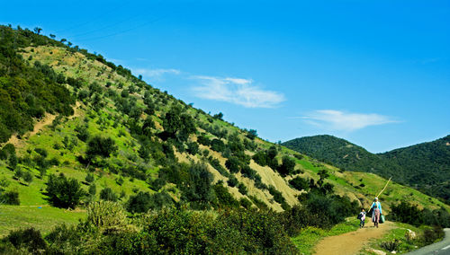 Rear view of man on mountain against sky