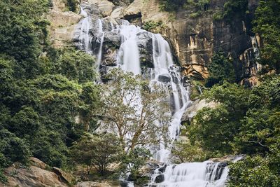 View of waterfall in forest