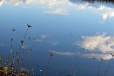 Reflection of sky in lake