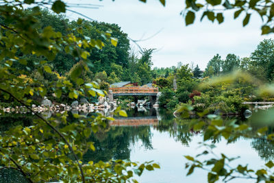 Landscape of a bridge in the japanese garden at the frederik meijer gardens in grand rapids michigan