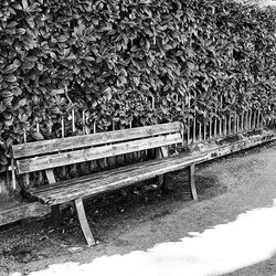 Empty bench on wooden bench