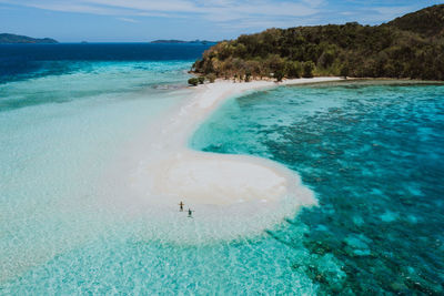 Drone view of couple at beach on sunny day