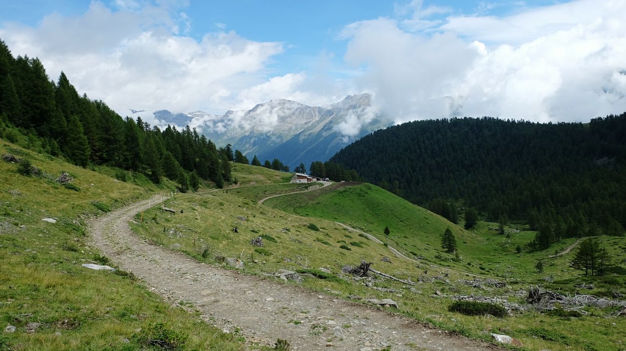 mountain, landscape, tranquil scene, sky, tranquility, scenics, grass, beauty in nature, green color, nature, mountain range, cloud - sky, non-urban scene, tree, cloud, idyllic, remote, hill, cloudy, day, growth, outdoors, no people, grassy, valley, rural scene, countryside, non urban scene, green, lush foliage, travel destinations