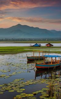 Boats moored at harbor