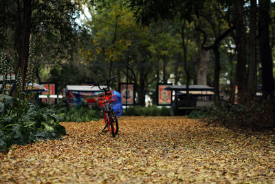 Man with umbrella on field in park