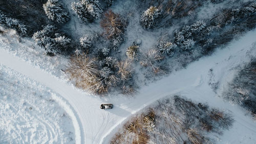 High angle view of trees on snow covered land