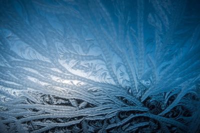 Full frame shot of snow covered tree