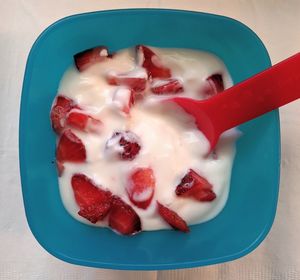 Directly above shot of ice cream in bowl on table