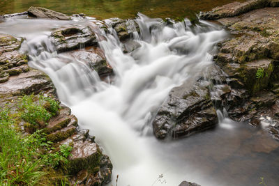 Scenic view of waterfall in forest