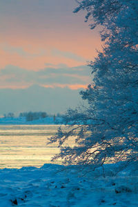 Scenic view of landscape against sky during sunset