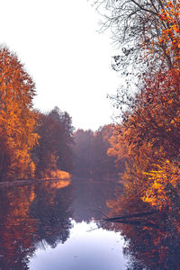 Scenic view of lake in forest against sky during autumn