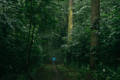 Rear view of man walking in forest