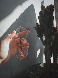Close-up of hand holding glass