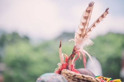 Feathers on headband of person during ceremony