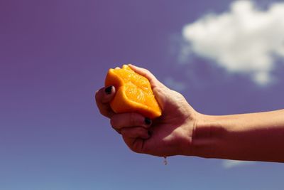 Close up of person holding orange against sky