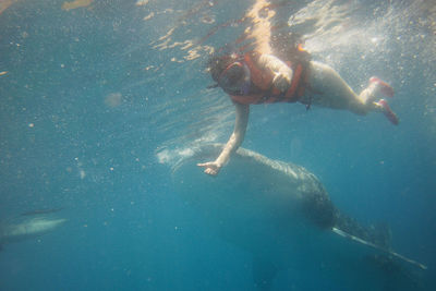 Young woman swimming in sea