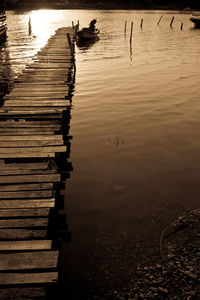 Birds swimming in lake