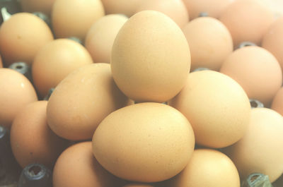 Close-up of eggs in container