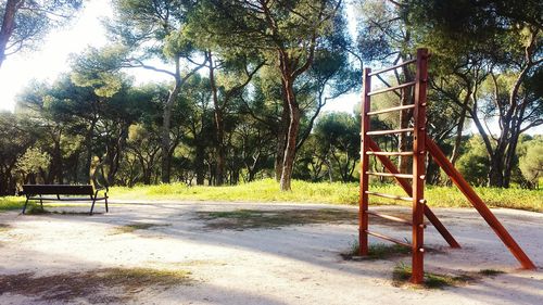 Trees in playground against sky