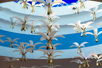 Low angle view of white lanterns hanging from ceiling