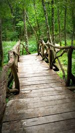 Wooden footbridge amidst trees in forest