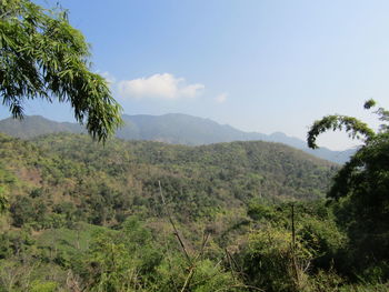 Scenic view of landscape against sky