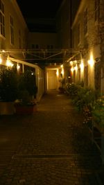 Empty illuminated street lights at night