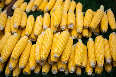 Close-up of corn at market stall