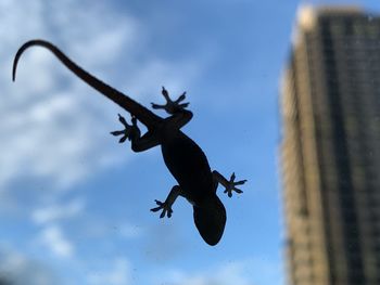 Low angle view of airplane flying in sky