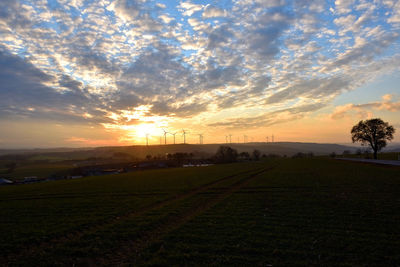 Scenic view of field against sky during sunset