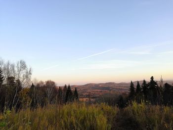 Scenic view of field against sky during sunset