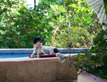 Side view of woman sitting on retaining wall